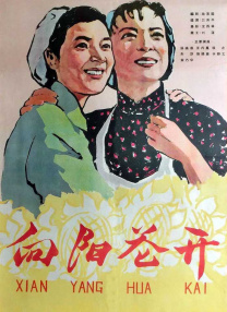 影片 - v11av